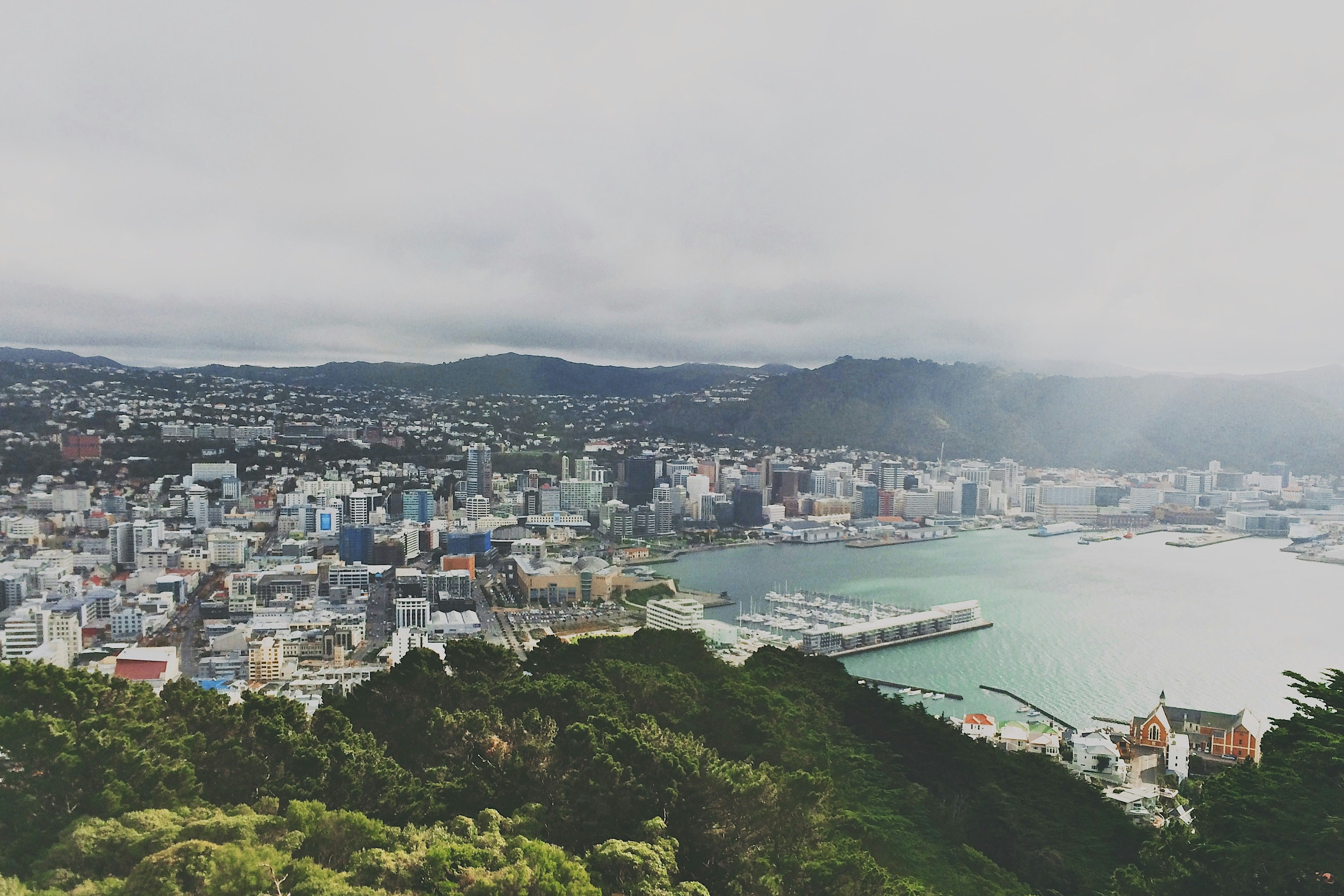 Vue panoramique du port de Wellington et de la ville