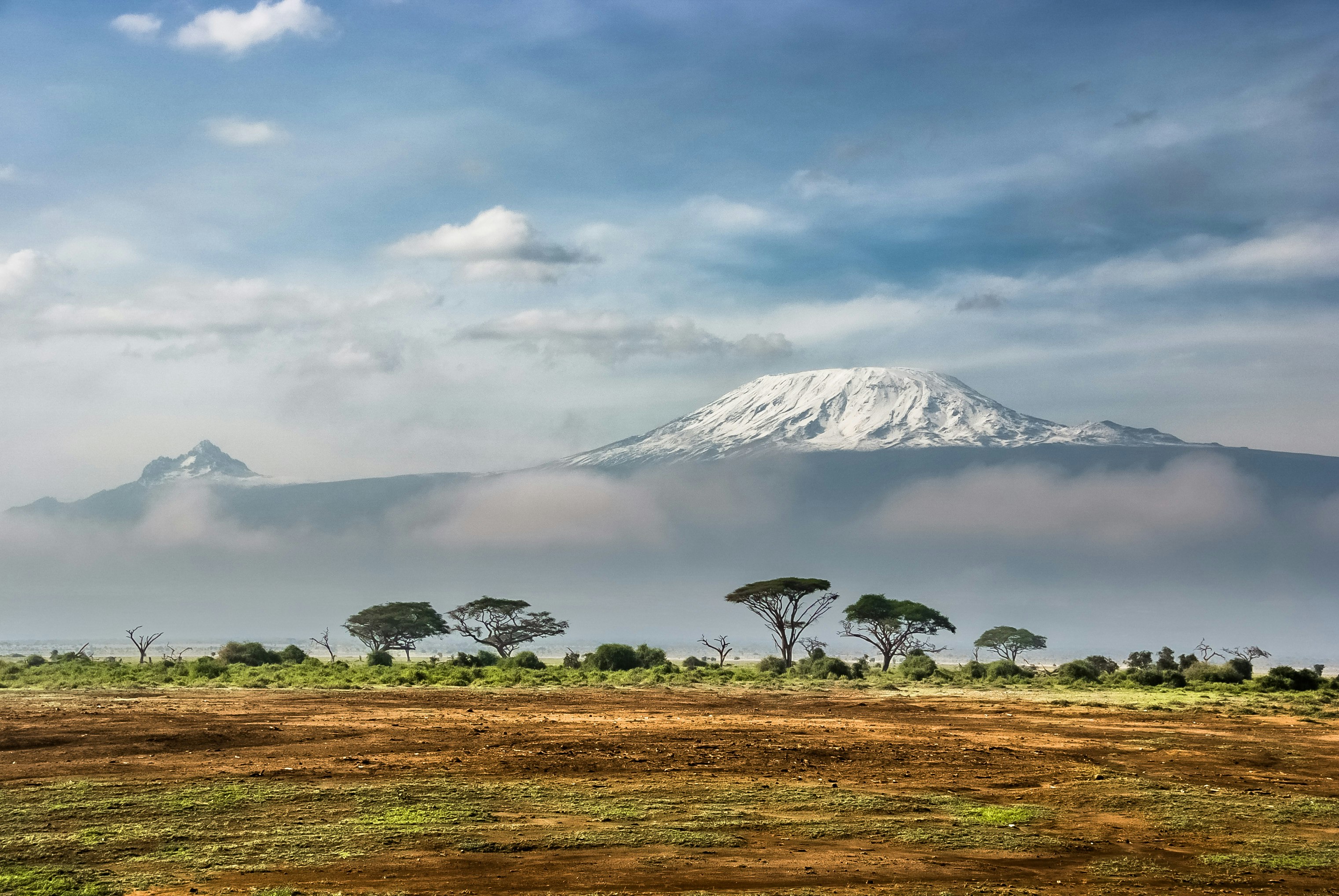 Vue du parc national de Nairobi avec des animaux sauvages en arrière-plan.