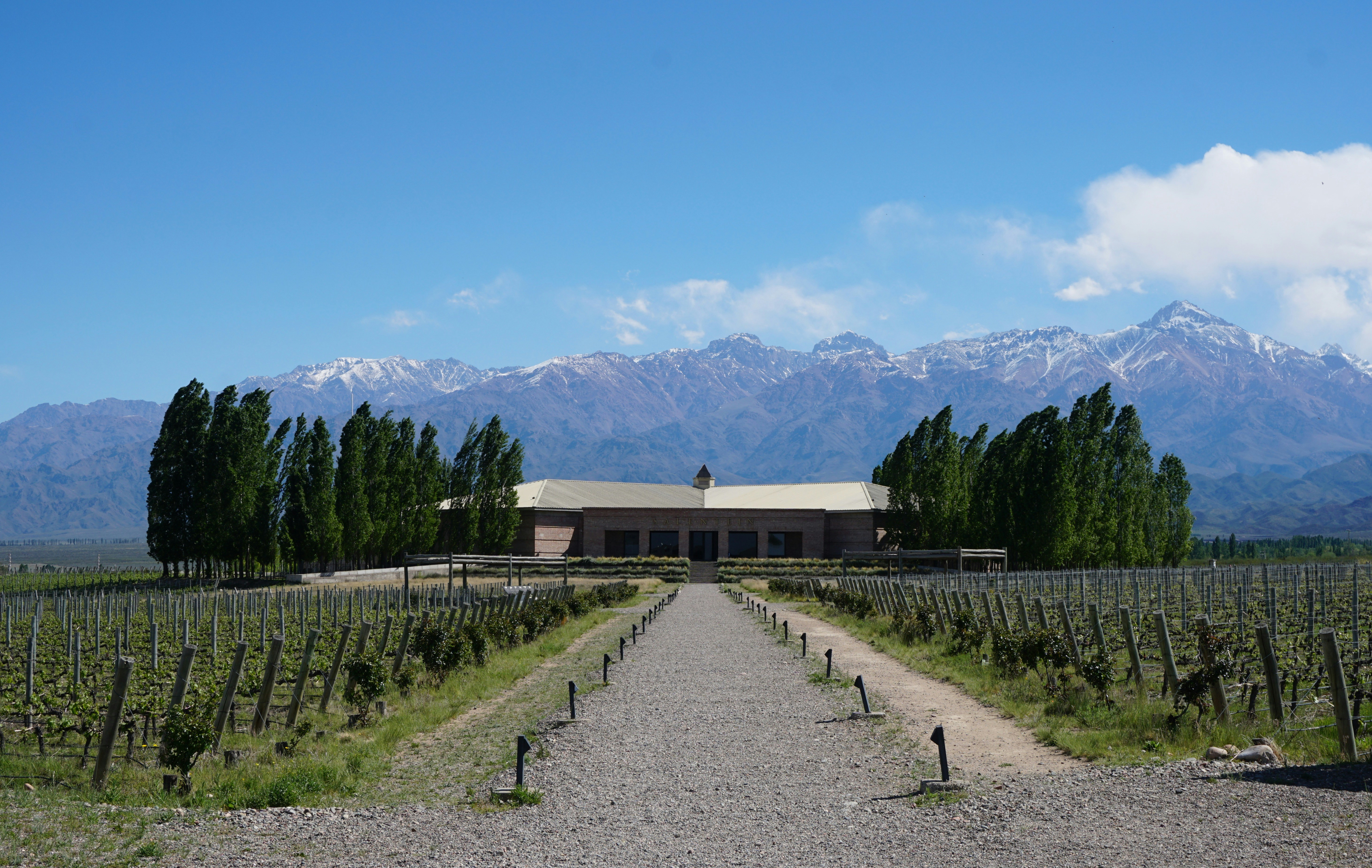 Paysage de Mendoza en Argentine, au pied de la cordillère des Andes