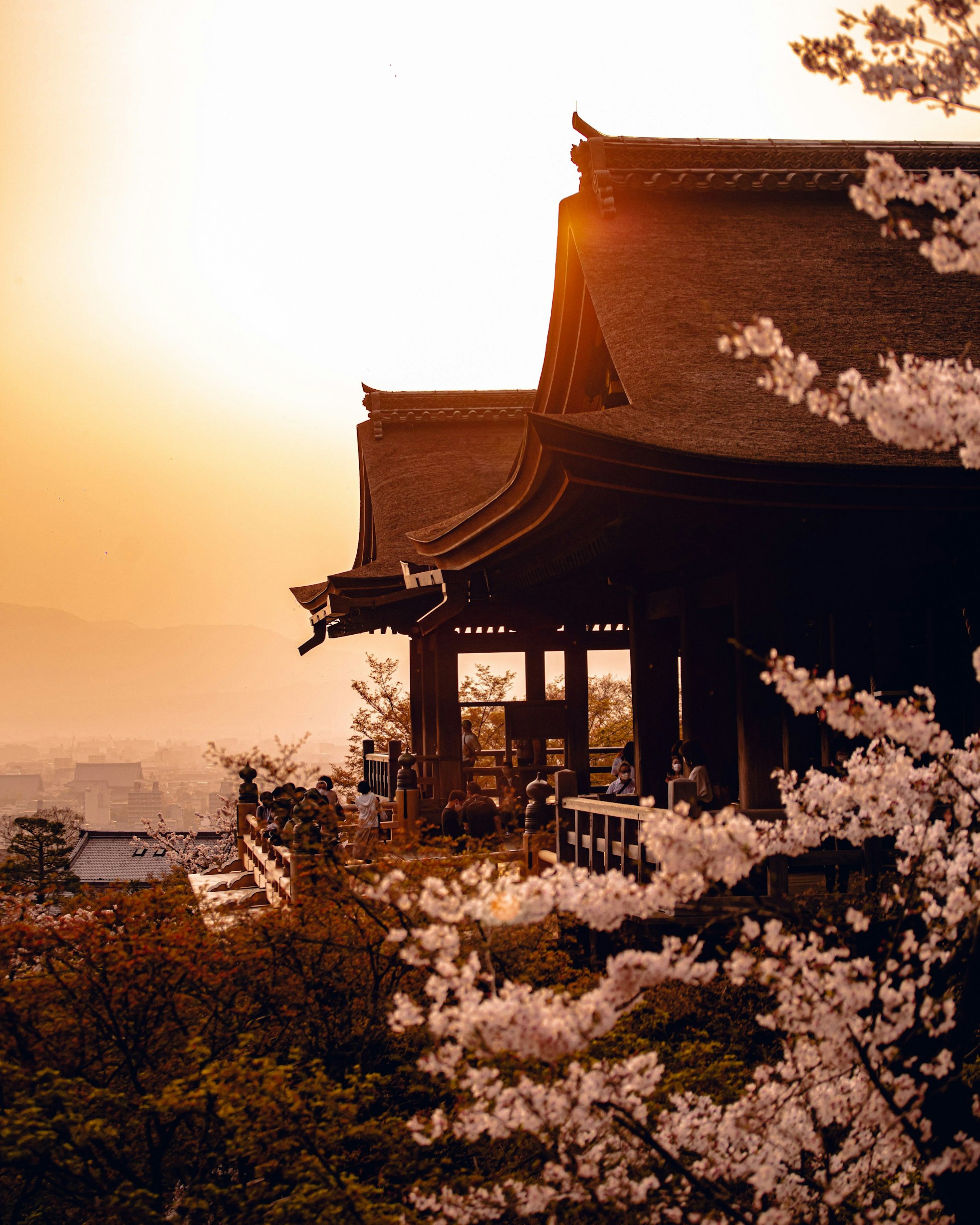 Un temple traditionnel à Kyoto, entouré de cerisiers en fleurs